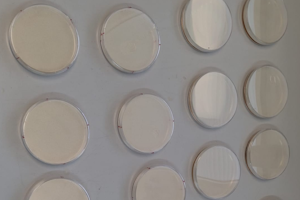 Microbial Media Plates in Lab
